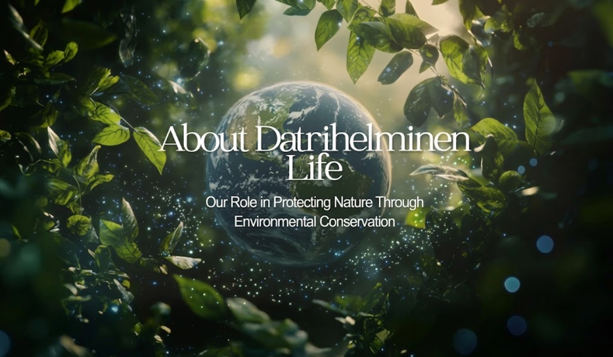 About Datrihelminen Life