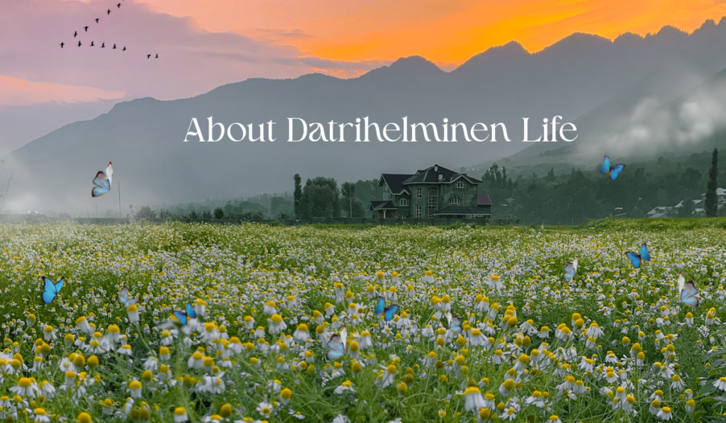 About Datrihelminen Life