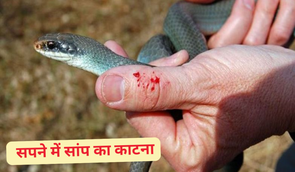 Sapne Me Saap Dekhna
