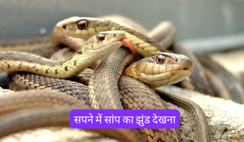 Sapne Me Saap Dekhna
