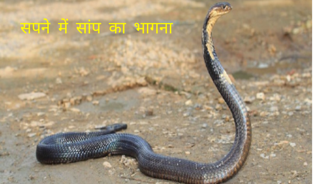 Sapne Me Saap Dekhna